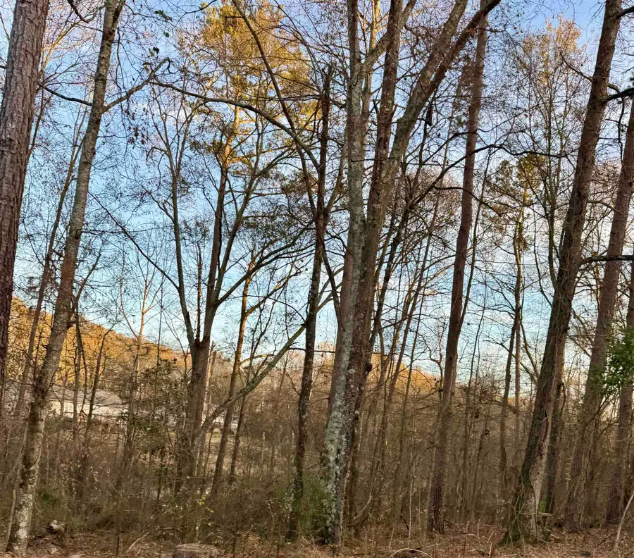 0 Old Furnace Rd, Boiling Springs, SC 29316 - Image #3