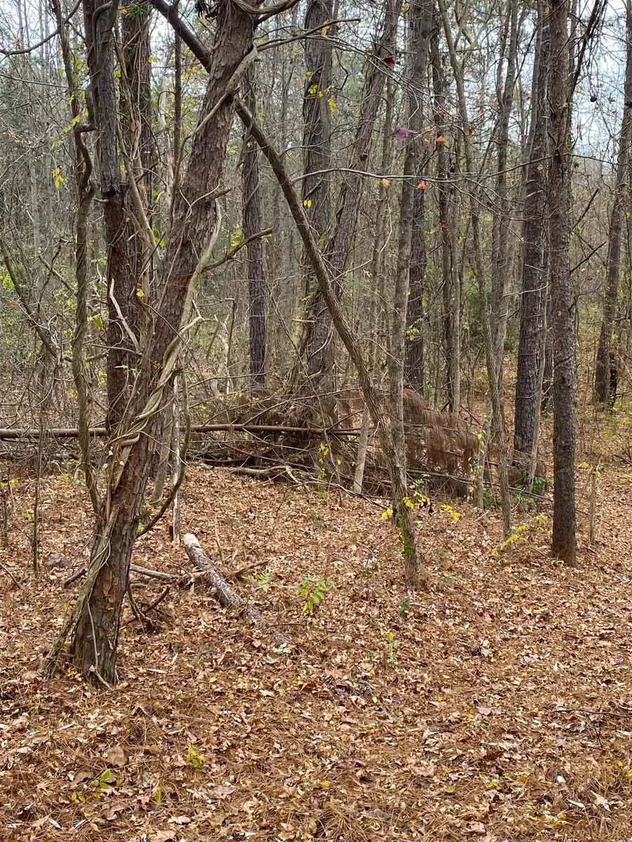 0 Oaktree Road, Spartanburg, SC 29303 - Image #3