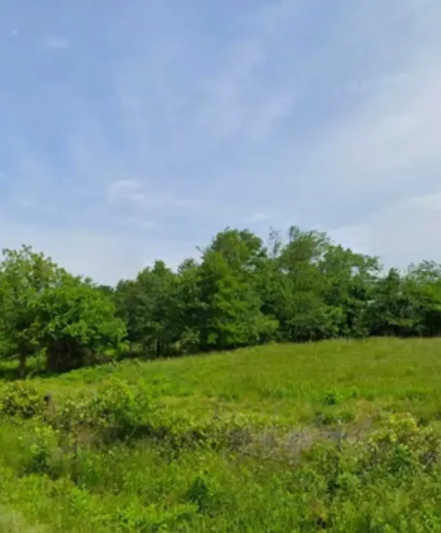 Carolina Ridge Road (lots 10 & 11), Gaffney, SC 29341 - Image #3