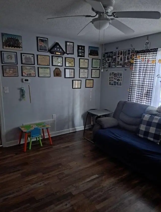 204 Martha Dandy Drive, Clinton, SC 29325 - Image #3