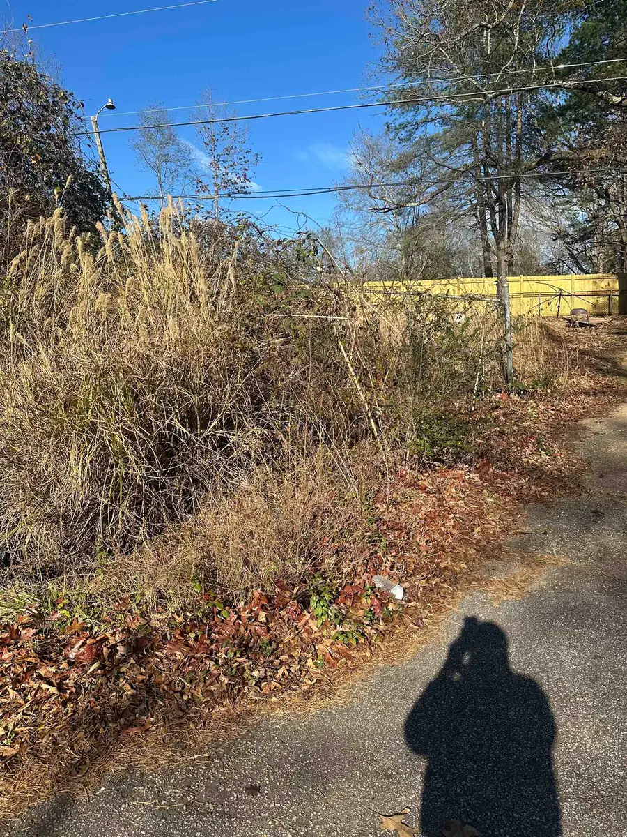 205 Genoble Road, Greer, SC 29651 - Image #2