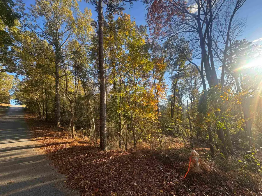 47 Briarcliff Rd, Duncan, SC 29334 - Image #2