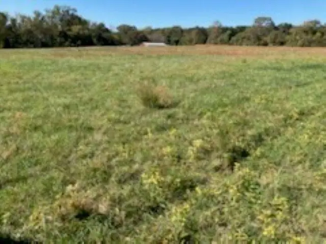 00 Cudd Drive, Chesnee, SC 29323-0845 - Image #1