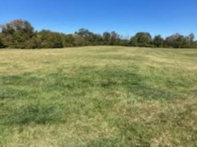 00 Cudd Drive, Chesnee, SC 29323-0845 - Image #3