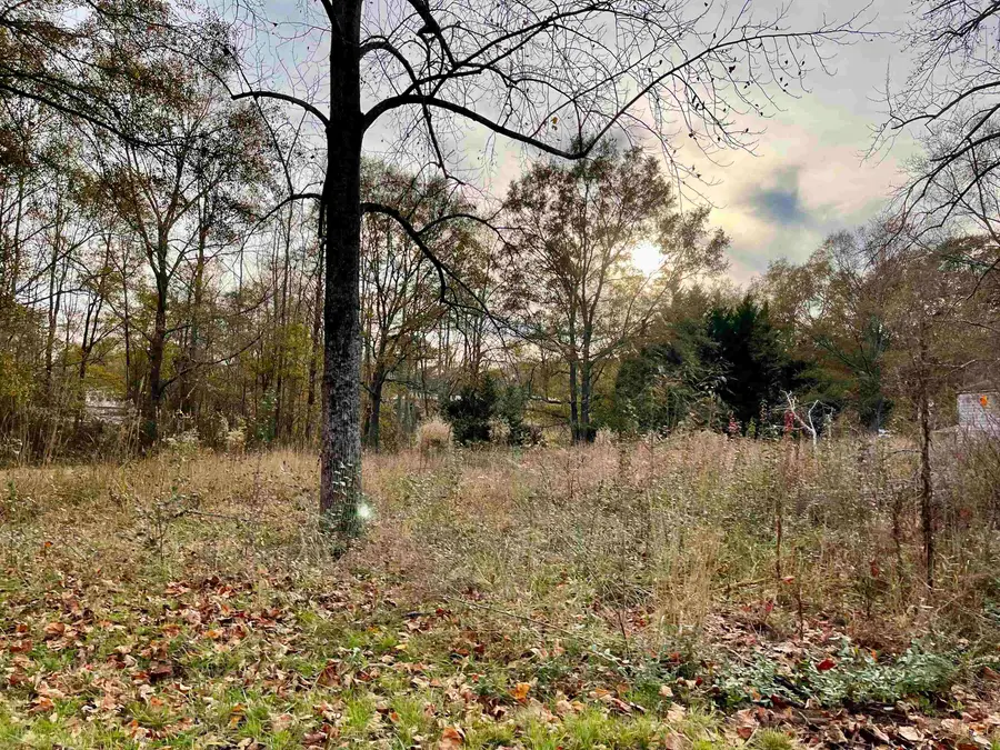 210 Lakeview Drive, Cowpens, SC 29330 - Image #2