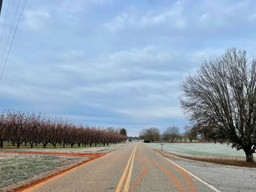 0 Henderson Road, Chesnee, SC 29323 - #2