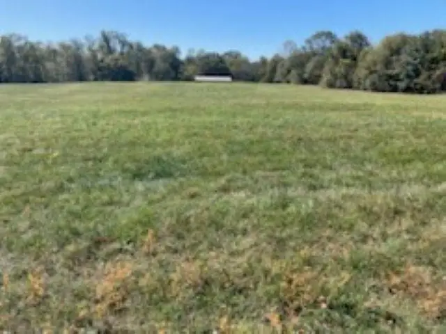 0 Cudd Drive, Chesnee, SC 29323-0845 - Image #3