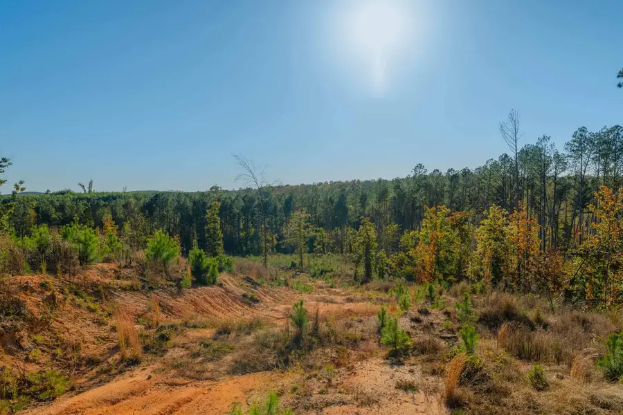 000 Quarter Round Road, Pacolet, SC 29372 - Image #2