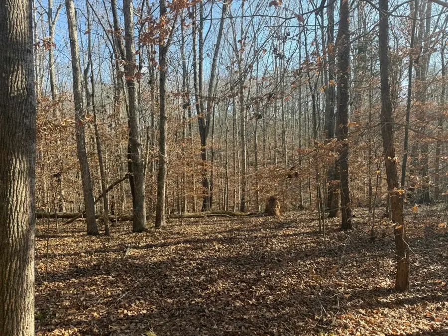 0 Rambler Ln, Blacksburg, SC 29702-1546 - Image #3