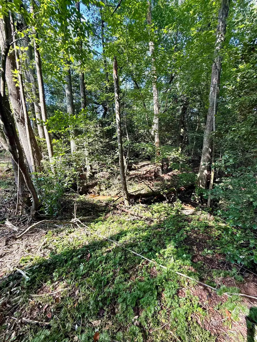 0 Thompson Road, Greer, SC 29651 - Image #2