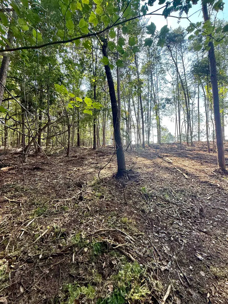 0 Thompson Road, Greer, SC 29651 - Image #3