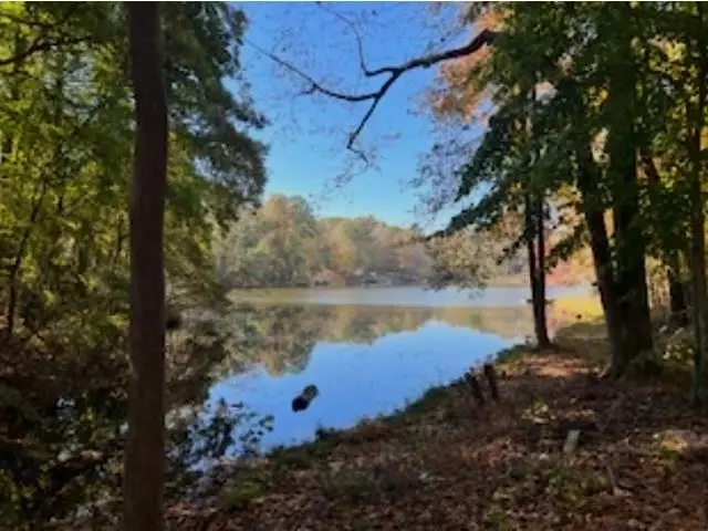 0 Berry Shoals Road, Duncan, SC 29334 - Image #2