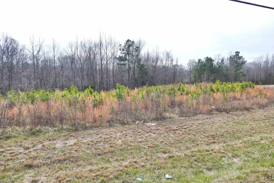 641 Pacolet Hwy, Gaffney, SC 29340 - Image #2