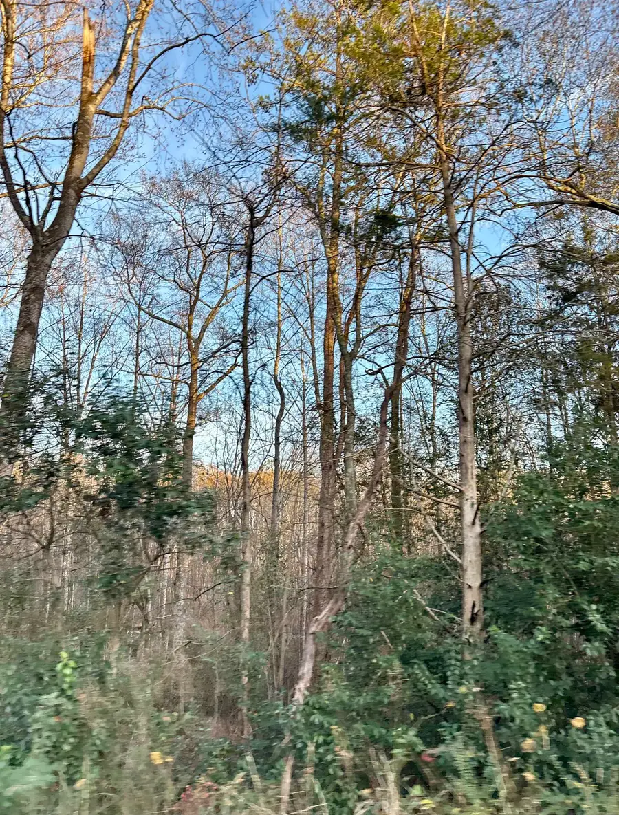 0 Old Furnace Road, Spartanburg, SC 29316 - Image #3