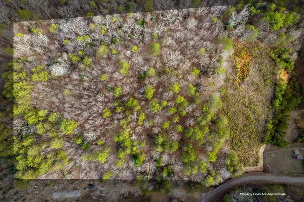 0 Helms Road, Blacksburg, SC 29702