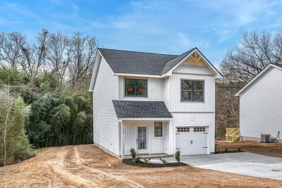 229 Harris Street, Jonesville, SC 29353 - Image #3