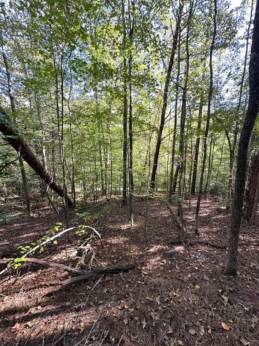 0 Hammett Grove Road, Spartanburg, SC 29307 - Image #2