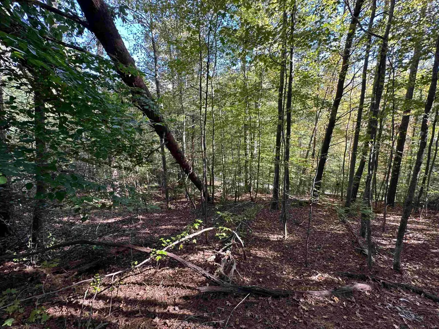 0 Hammett Grove Road, Spartanburg, SC 29307 - Image #3