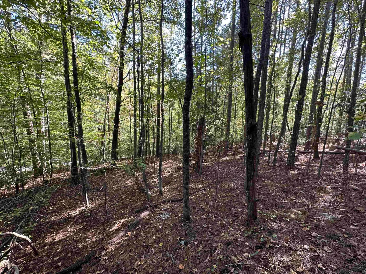 00 Hammett Grove Road, Spartanburg, SC 29307 - Image #1