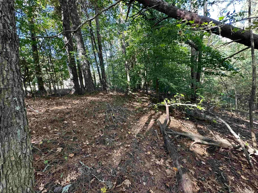 00 Hammett Grove Road, Spartanburg, SC 29307 - Image #2