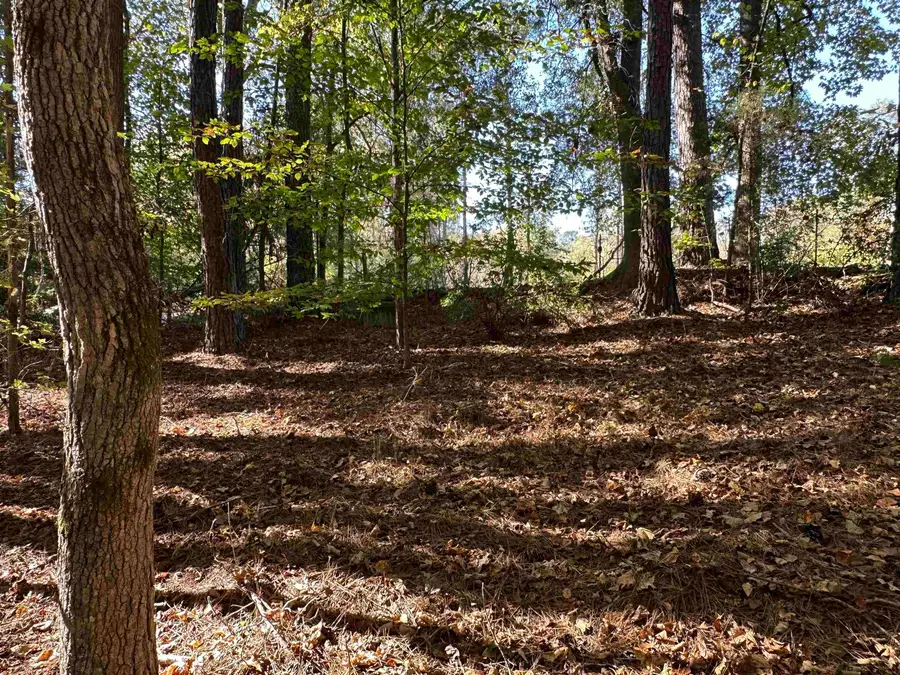 00 Hammett Grove Road, Spartanburg, SC 29307 - Image #3