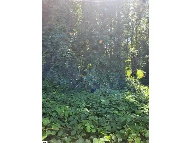 00 Clark Road, Inman, SC 29349 - Image #2