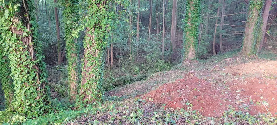 Woodshire Drive, Boiling Springs, SC 29316 - Image #3