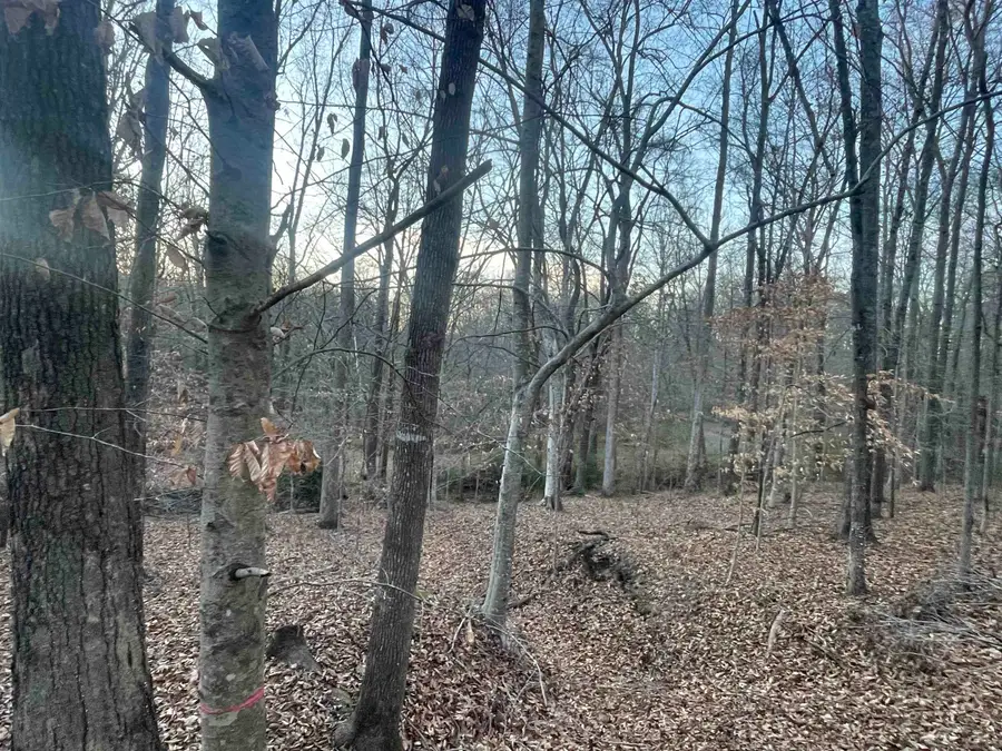 Hwy 221 N Greenwood Hwy, Laurens, SC 20360-0000 - Image #3