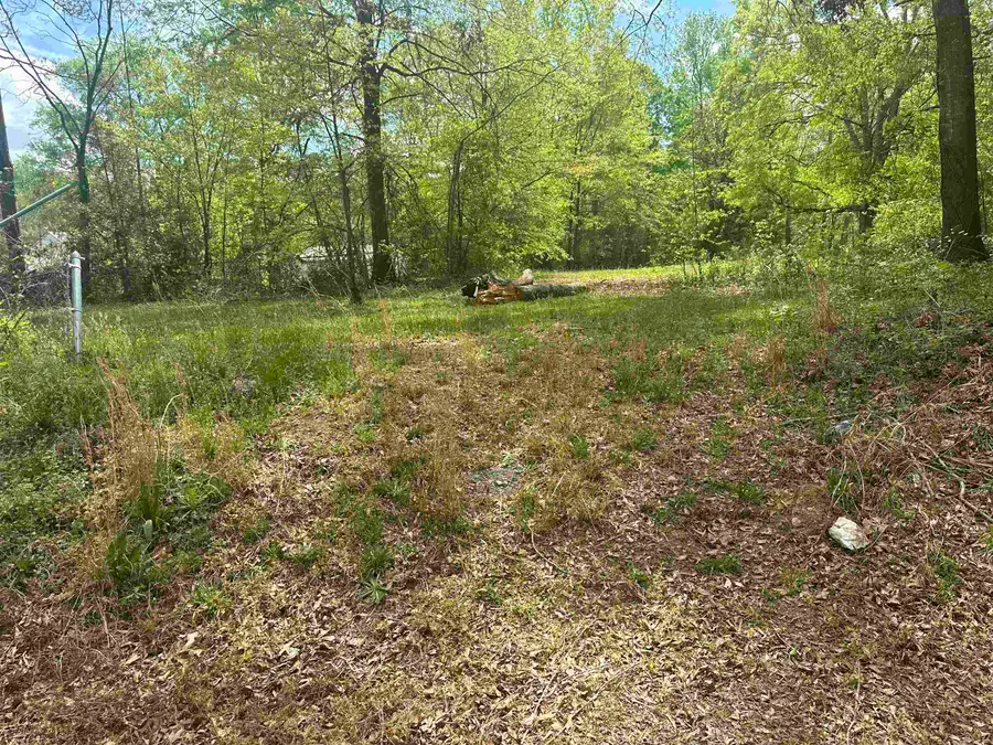 101 W Bluford Street, Clinton, SC 29325 - #3
