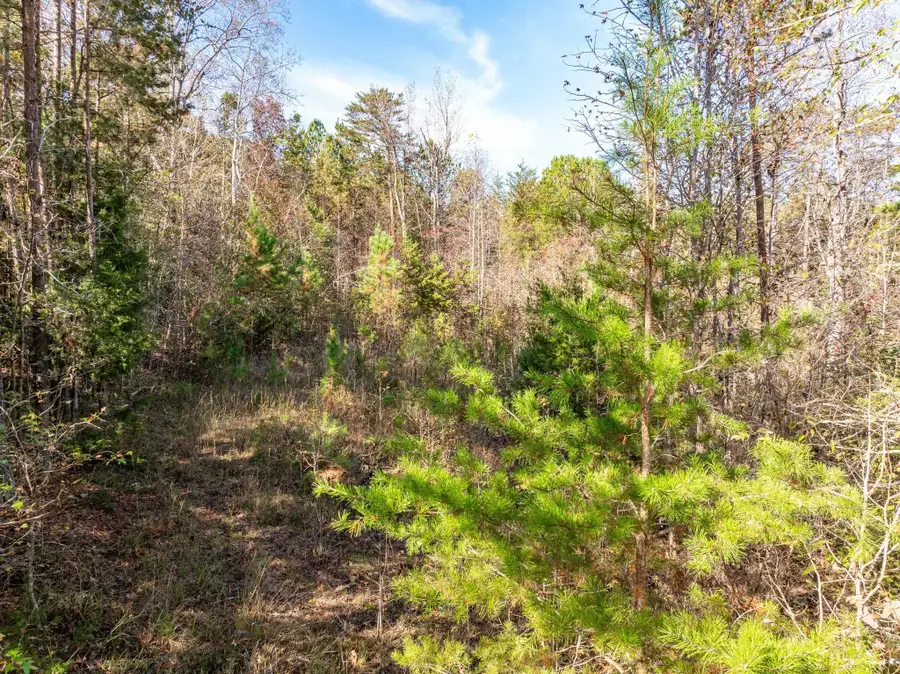 146 Spring Lake Road, Gaffney, SC 29340 - Image #2