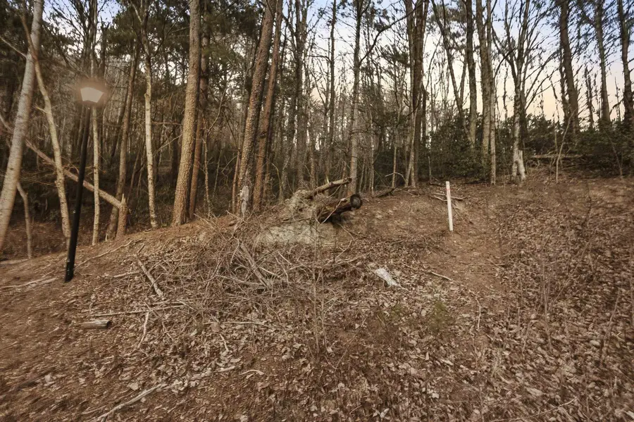 Lot 17 Hidden Glory Drive, Landrum, SC 29356 - #2