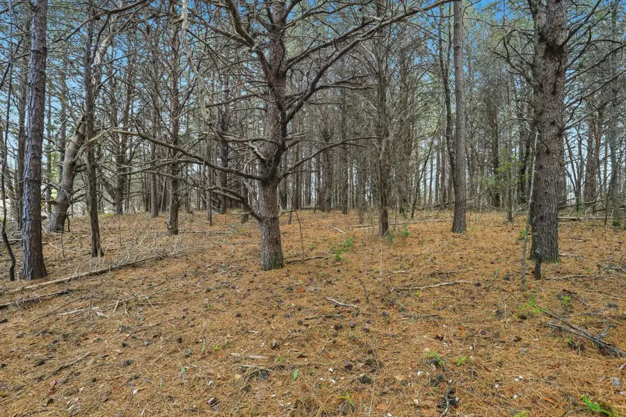 0 Hulon Howard Road, Landrum, SC 29356 - Image #2