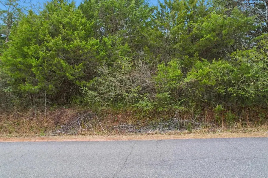 0 Hulon Howard Road, Landrum, SC 29356 - Image #3