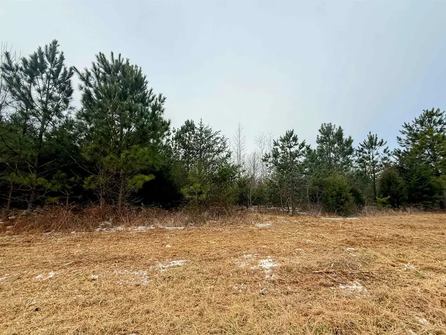 0 Peachtree Road, Chesnee, SC 29323 - Image #3