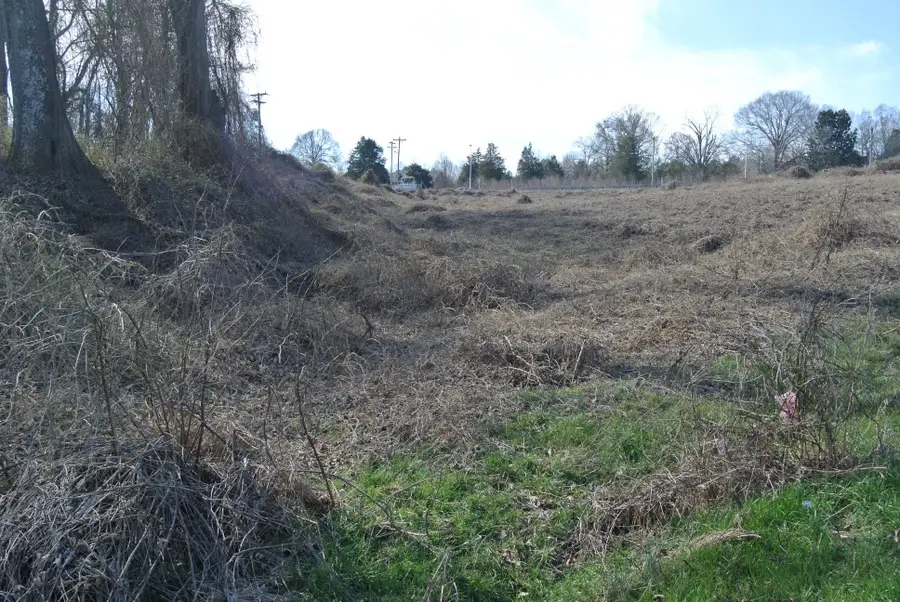 Foster Road, Inman, SC 29349 - #2