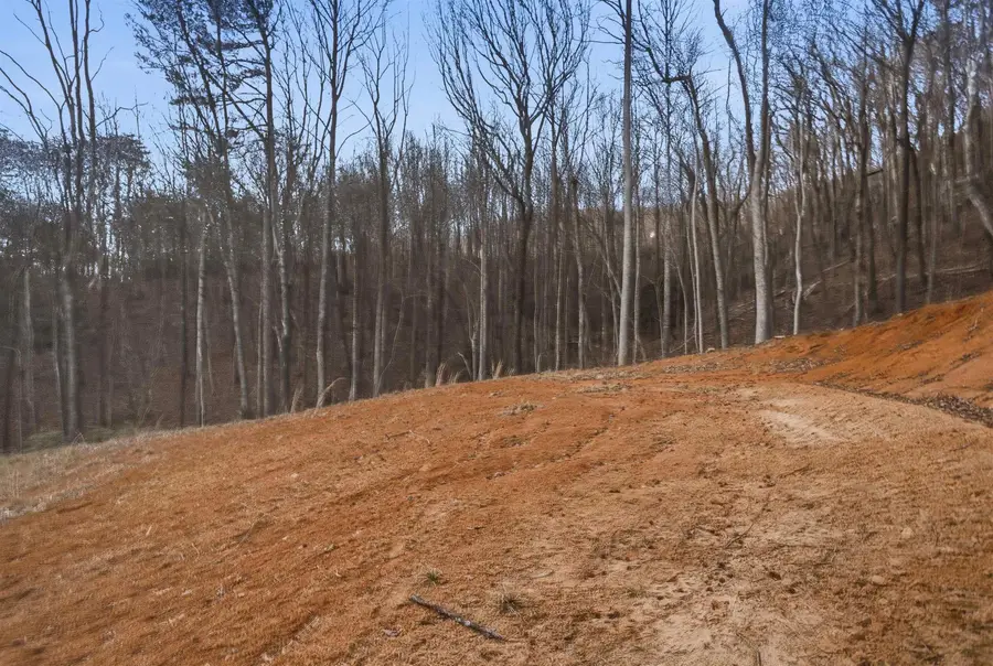 Lot 13 Hideaway Hill Way, Landrum, SC 29356 - #3