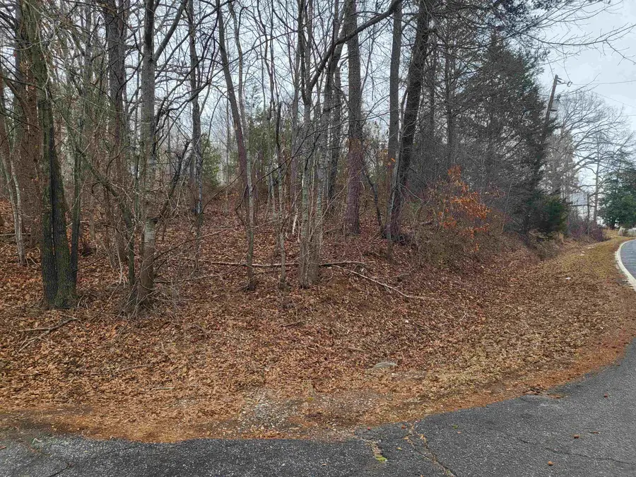 00 Campbell Covered Bridge Road, Landrum, SC 29356 - #2