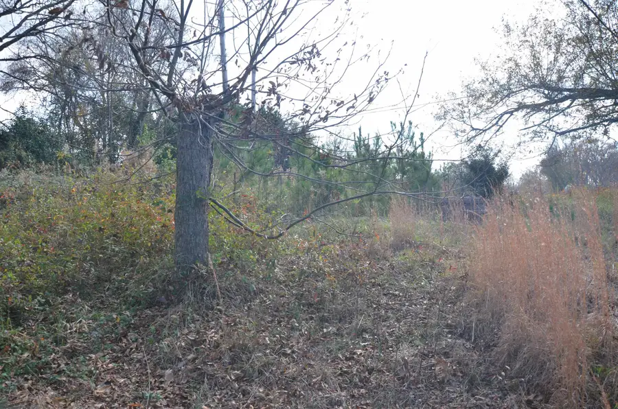 308 Oak Drive, Iva, SC 29655 - #3