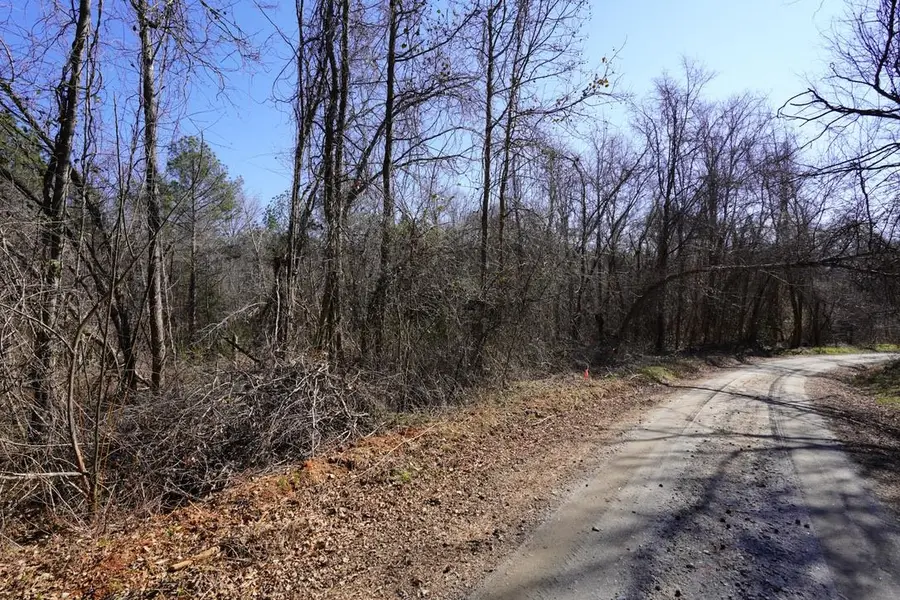 0 Gene Fleming Road, Iva, SC 29655 - #2