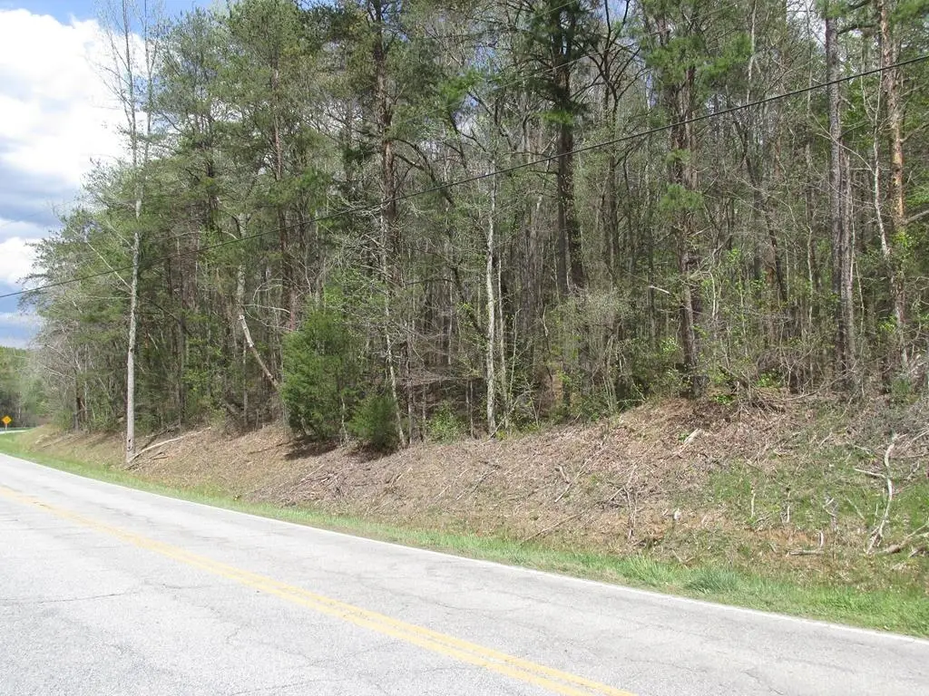 TBD White Plains Road Road, Gaffney, SC 29340 - Image #1