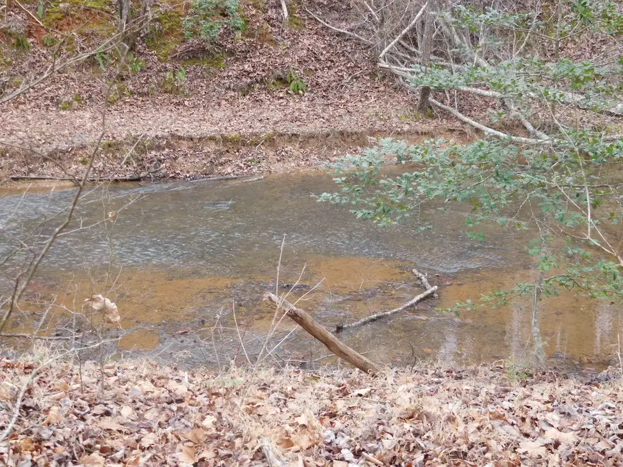 TBD White Plains Road Road, Gaffney, SC 29340 - Image #2