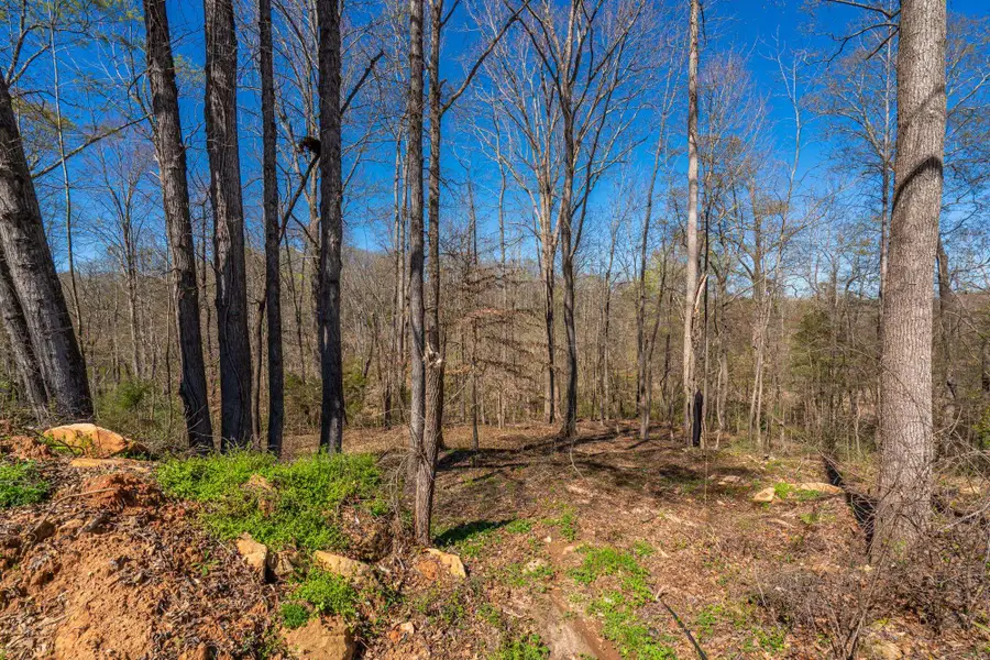 5 Bagwell Place, Spartanburg, SC 29302 - #2