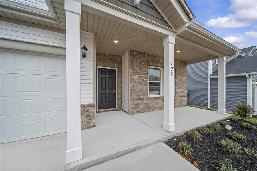 428 Creeping Jenny Drive, Piedmont, SC 29673 - #2