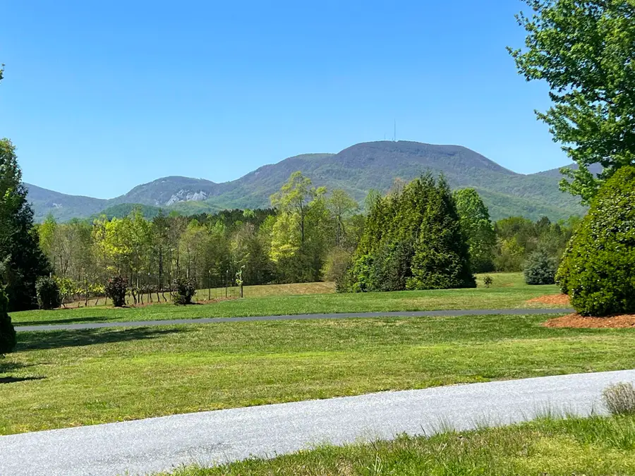 101 Moccasin Way, Landrum, SC 29356 - #3