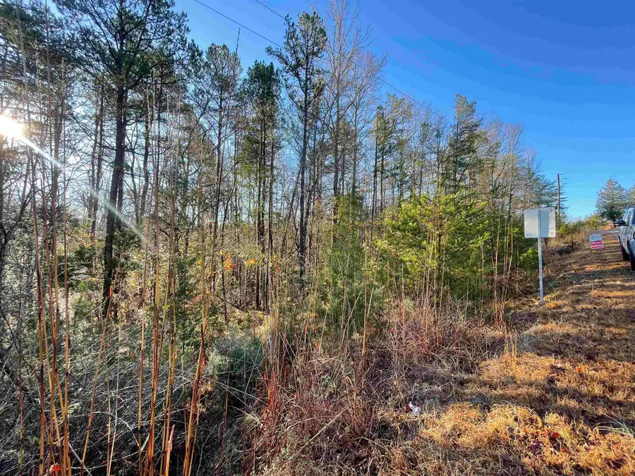 985 Evins Road, Pauline, SC 29374 - #2