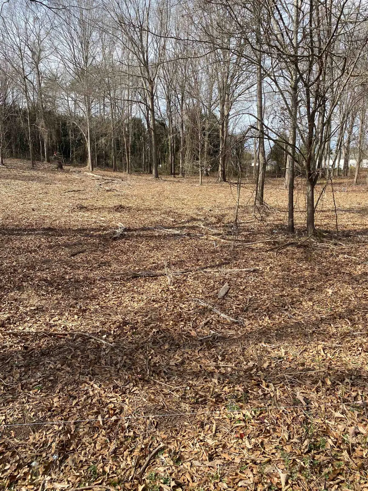 00 Lake Vista Drive, Lyman, SC 29365 - #1