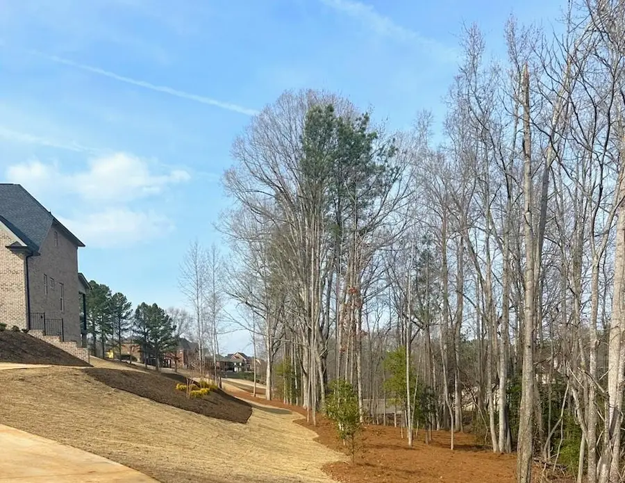 118 N Woodfin Drive, Inman, SC 29349 - #3