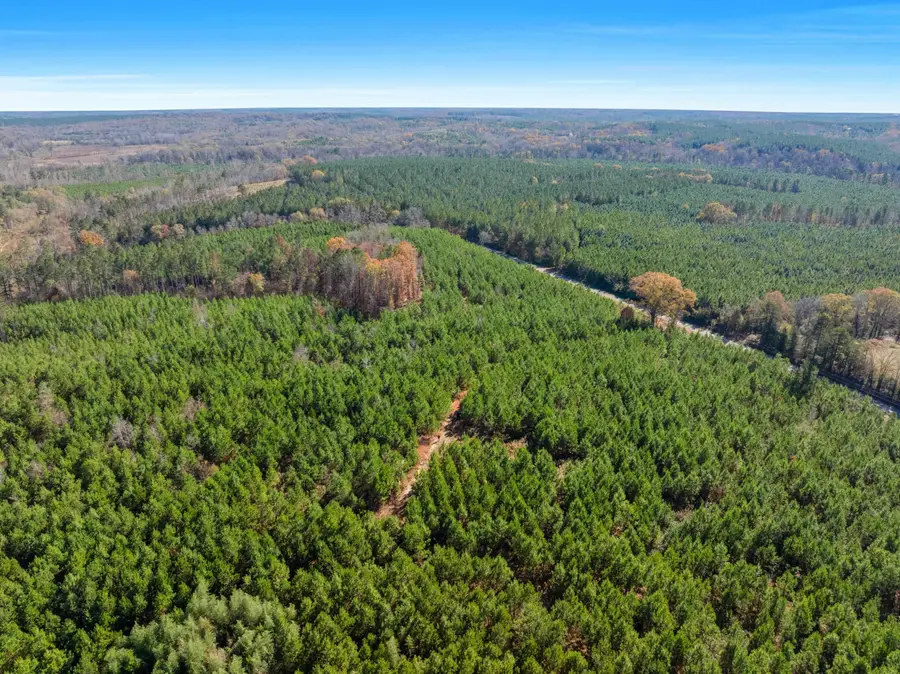 000 Quarter Round Road, Pacolet, SC 29372 - #2