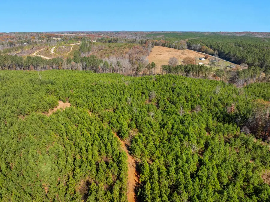 000 Quarter Round Road, Pacolet, SC 29372 - #3