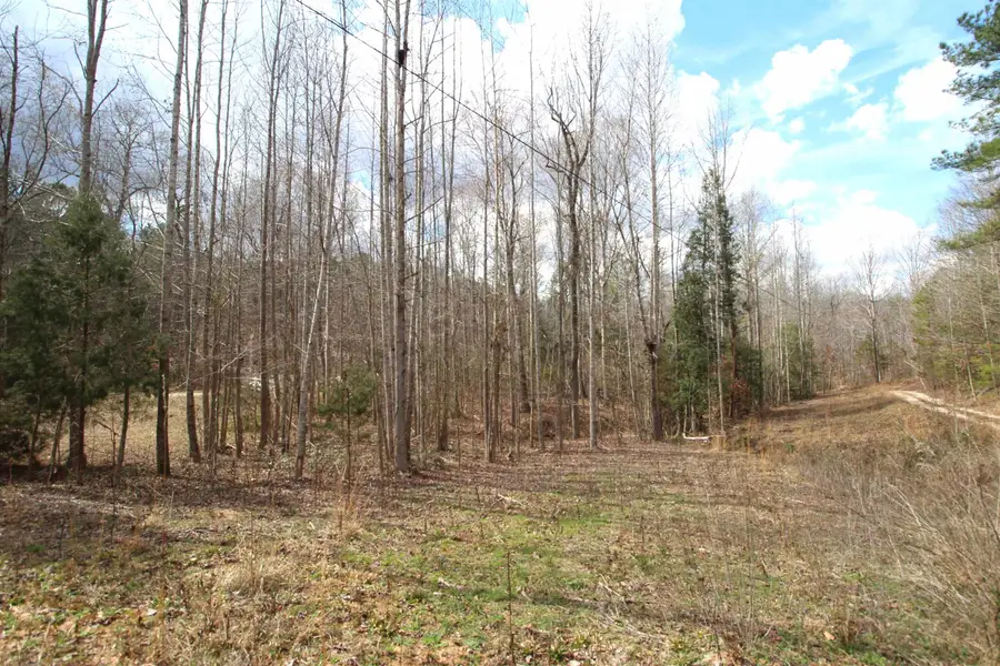0 Kilgore Meadows Road, Woodruff, SC 29388 - #2